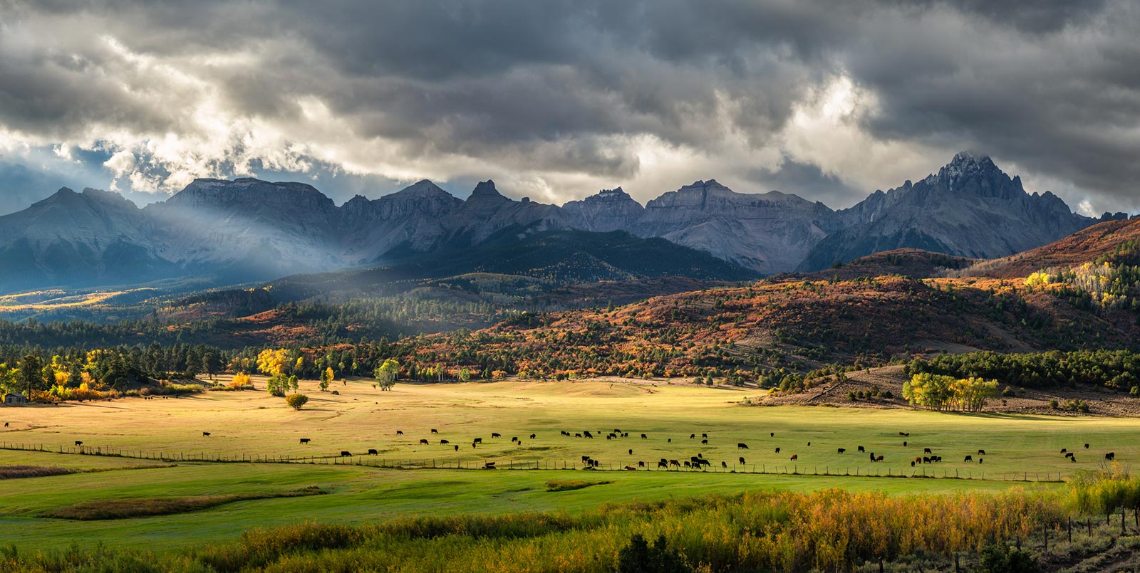 Cattle ranch near a Colorado ridgeway