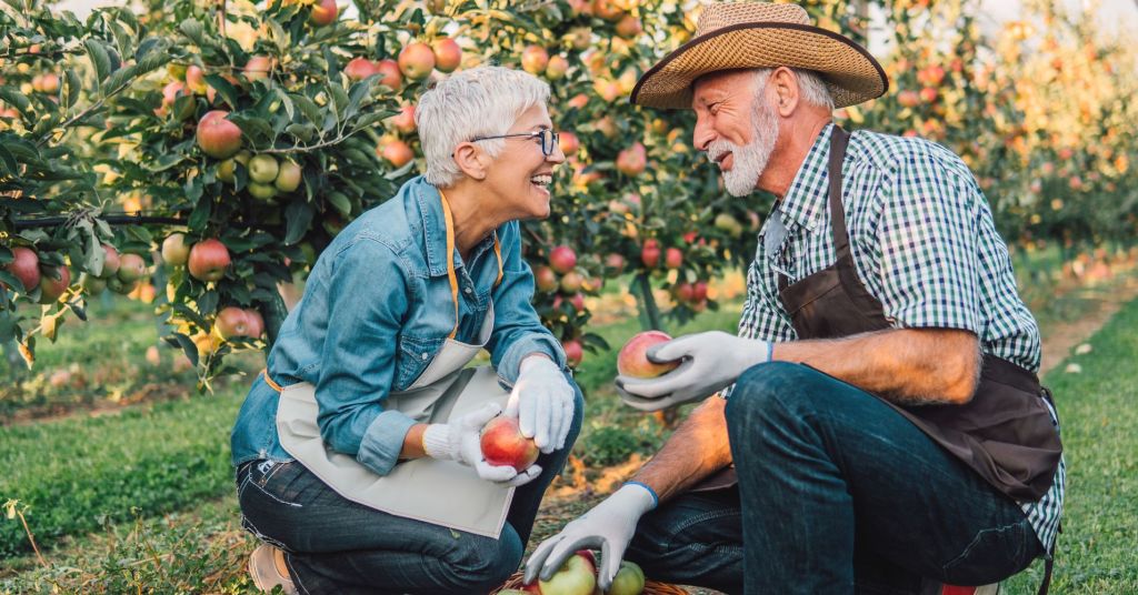 An older couple talking and smiling in an apple orchard 