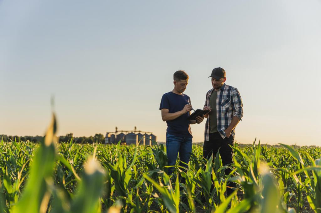 Two adult farmers stand in a green cornfield at sunset, reviewing information on a tablet with grain silos visible in the distance.