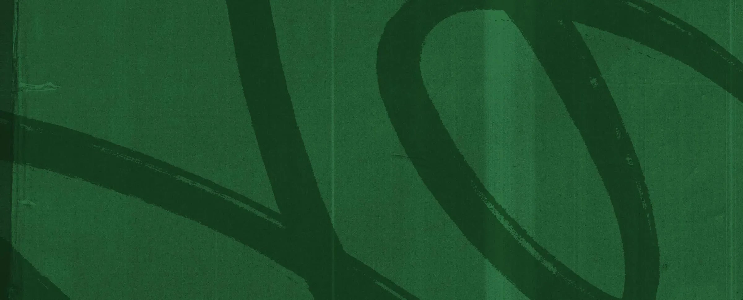 A green background with decorative brush stroke