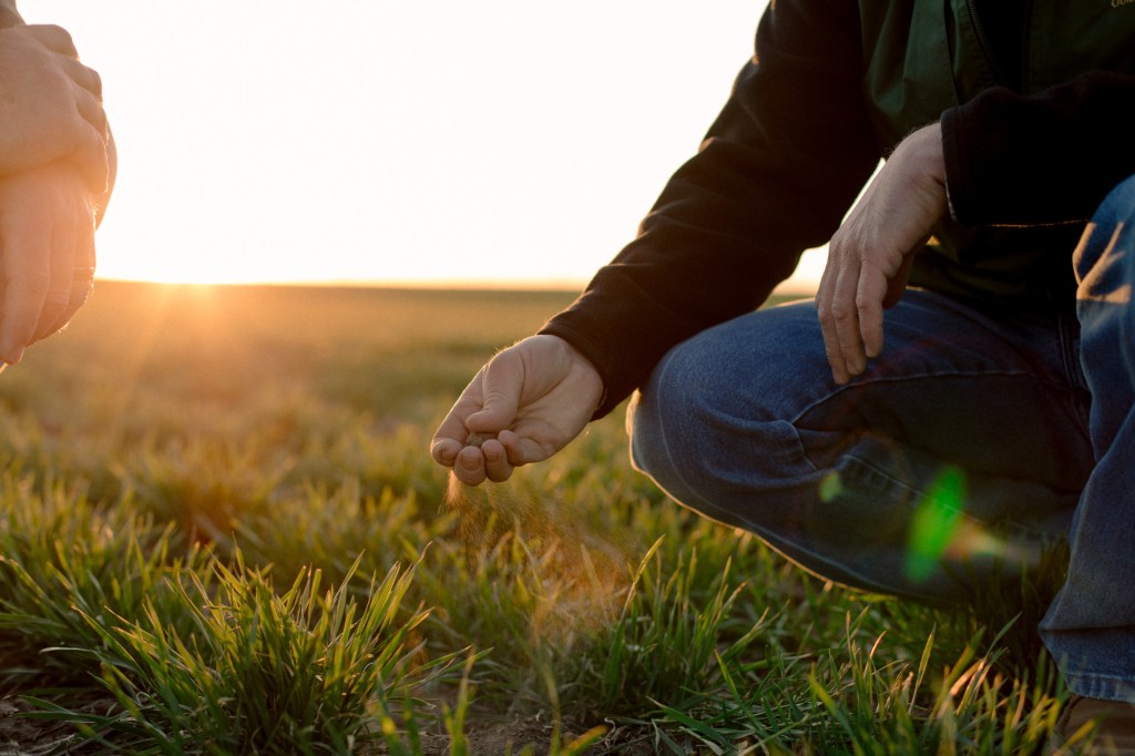 Close up view of a farmer's hand holding soil while he is crouched in a field